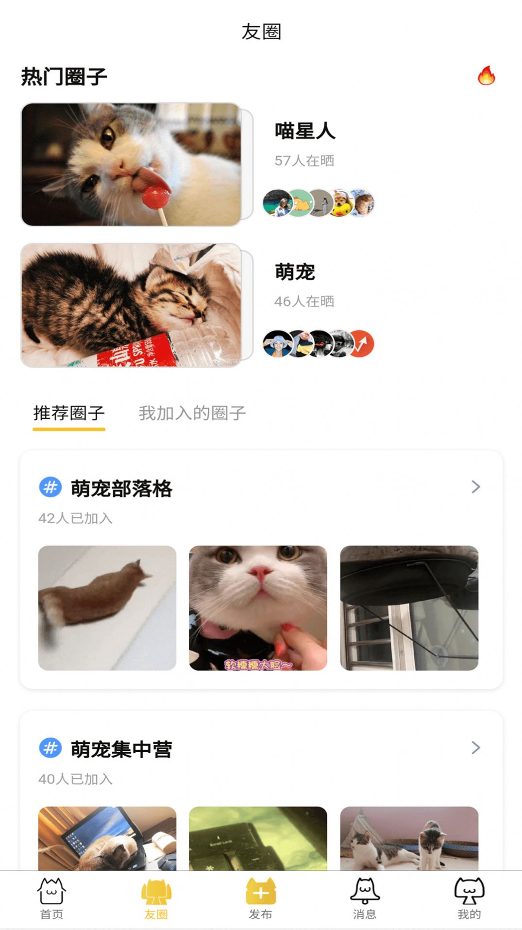 友猫app图3