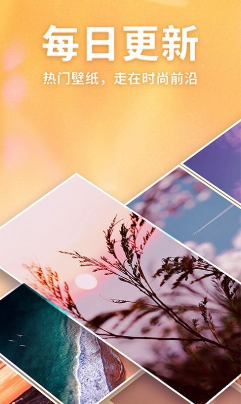 灵猫壁纸手机版app下载  v1.2.1图4