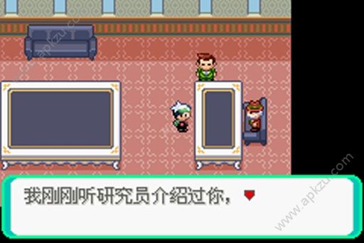 口袋妖怪绿宝石kaizo汉化版金手指下载  v1.1图4