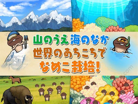 菇菇栽培研究室The World中文汉化版  v1.0.5图2