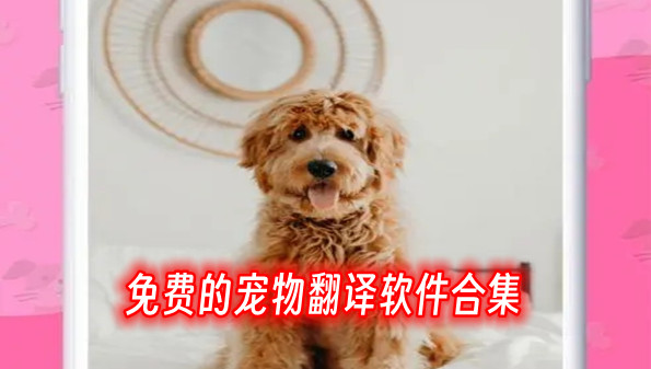 免费的宠物翻译软件合集