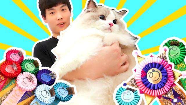 abbey小熙解说全部游戏合集