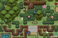 口袋妖怪骑拉帝纳传说金手指图1