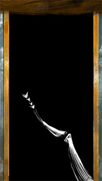 卡夫卡的变形记图3