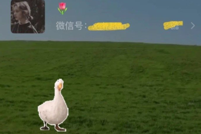 微信农场背景合集