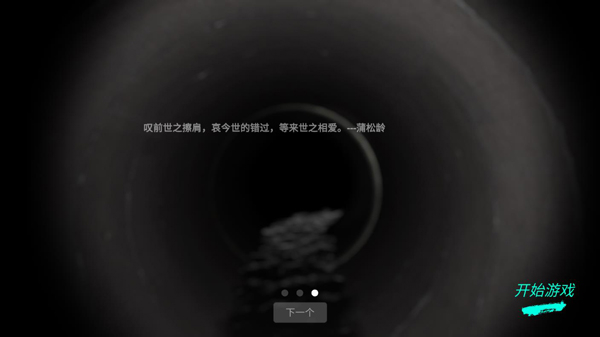 孙美琪疑案井底人游戏图4