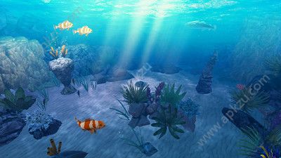 口袋VR水族馆游戏图4