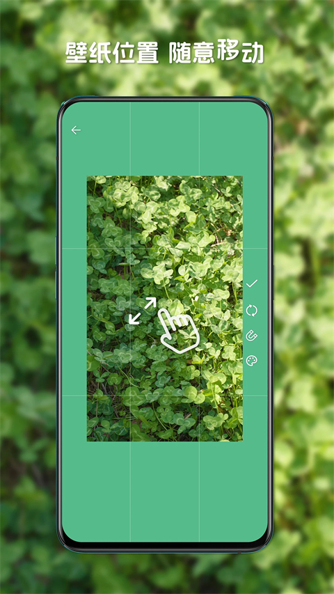 星咩视频壁纸图4