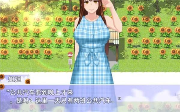 我的暑假秘密回忆作弊版图4