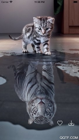 百变桌面壁纸手机版图2