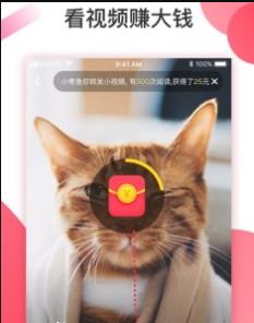 有赚短视频app图1