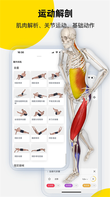 3DBody解剖学图4