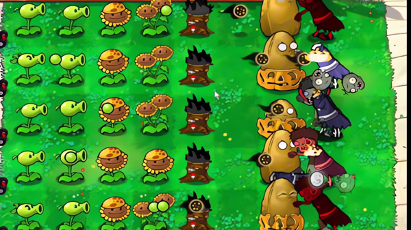 植物大战僵尸火影版图4