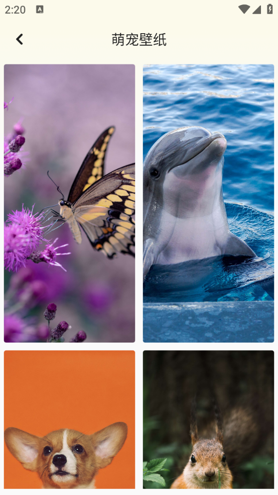 百变换壁纸正版图2