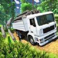 印度货运卡车运输游戏