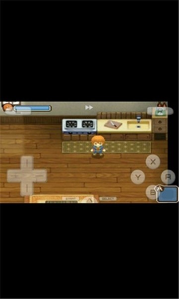 牧场物语双子村图1