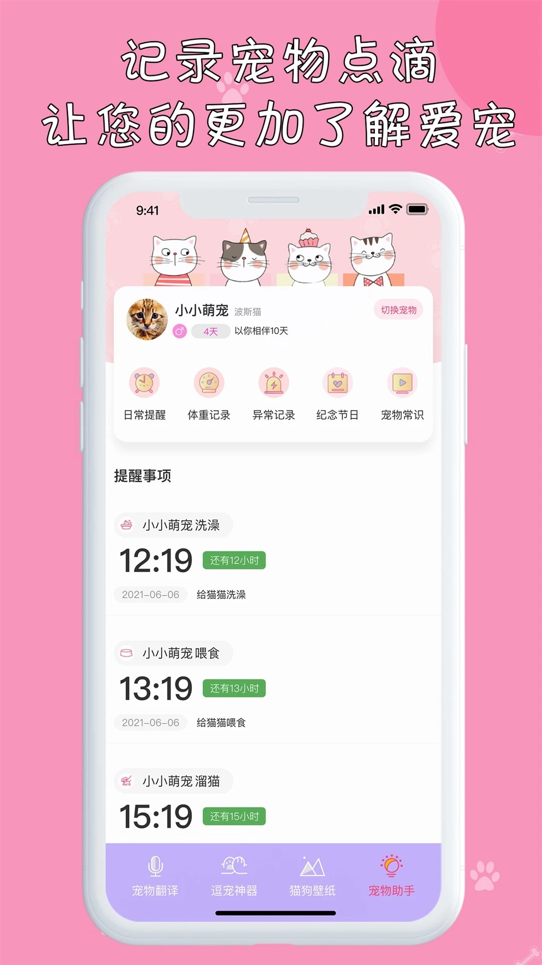 小猫图2