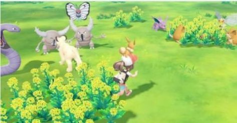 精灵宝可梦蓝宝石手机版图4