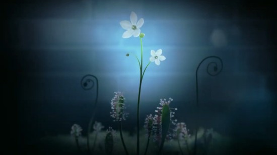 白色情人节2说谎的花朵游戏中文版  v1.0图4