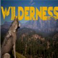 Wilderness游戏