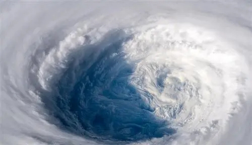 2021台风路径实时发布系统合集