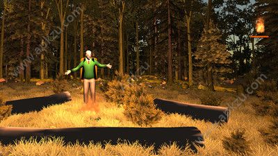 我们去野营吧游戏图3