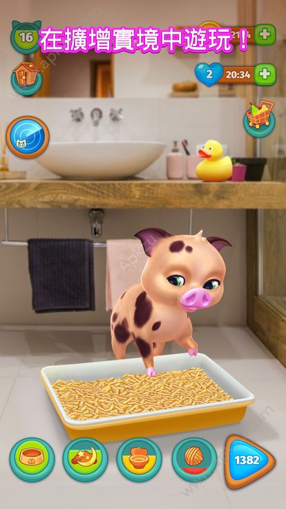 哒萌小猪完整安卓版（Tamapig）  v1.0.4图4