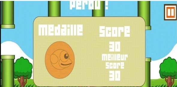 飞翔一只鸟游戏图1