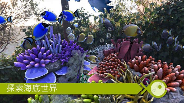 FishingGO中文金币完整安卓版  v1.0图1