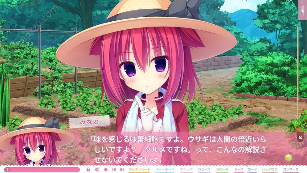 树莓立方体游戏图1