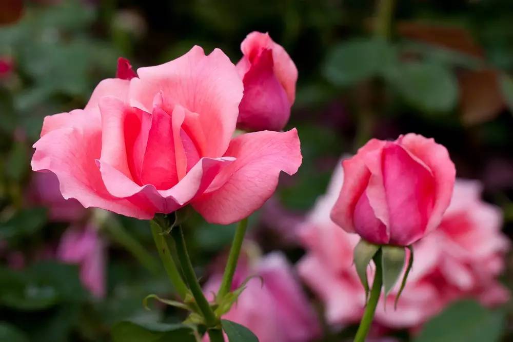 溪沐app下载专区