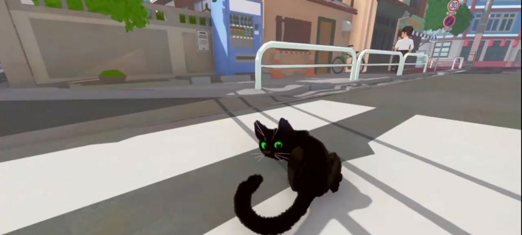 大城小猫模拟器图4