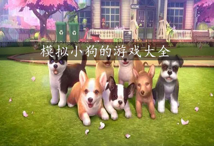 小狗游戏合集