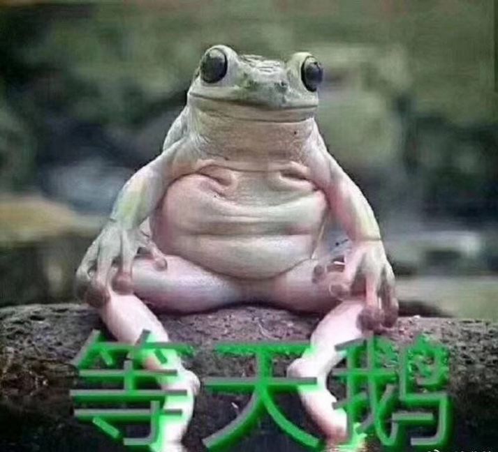 小天鹅出来解解馋表情包抖音表情图下载 v1.0图4