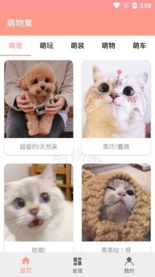 萌物集APP图1