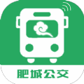 肥城掌上公交app