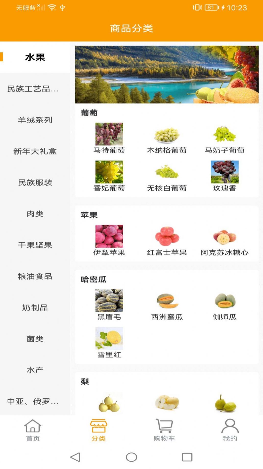 美丽新疆(购物)安卓版下载  v1.0.3图1