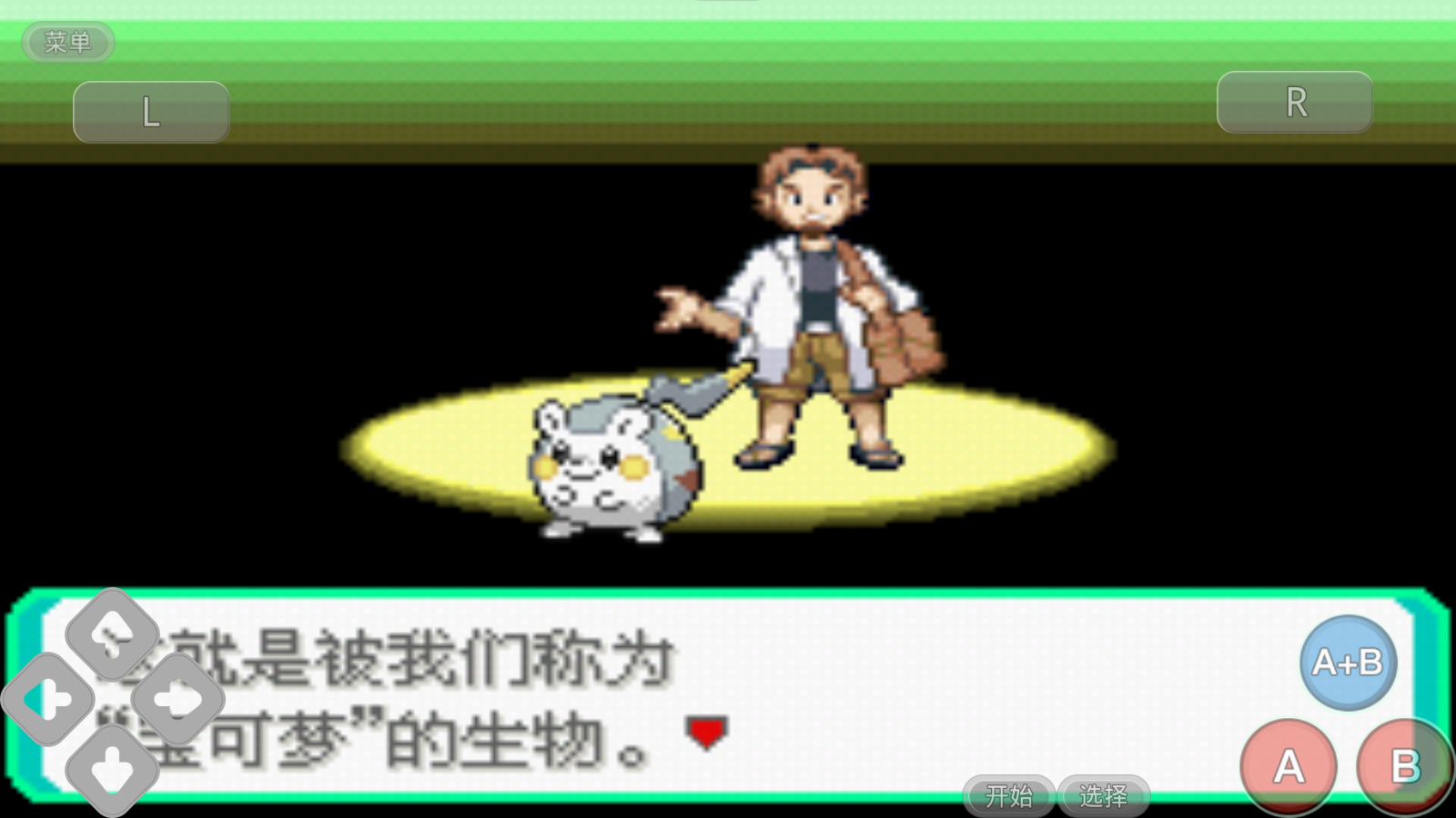 口袋妖怪究极绿宝石小智版二周目攻略金手指下载  v2021.06.26.12图3