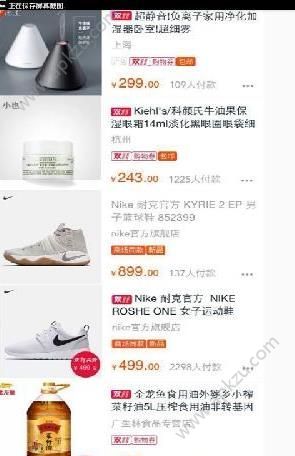 双11购物官方平台app手机版下载  v1.0图3