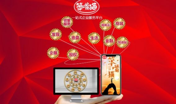 笨嘴猫平台app安卓版下载 v1.1.1图3