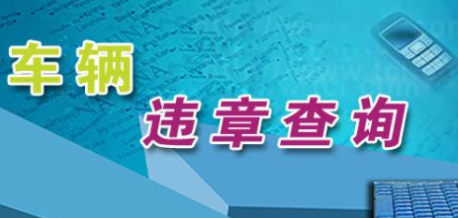 最准最快的违章查询软件合集