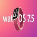 watchOS 7.5 beta2支持机型安装包