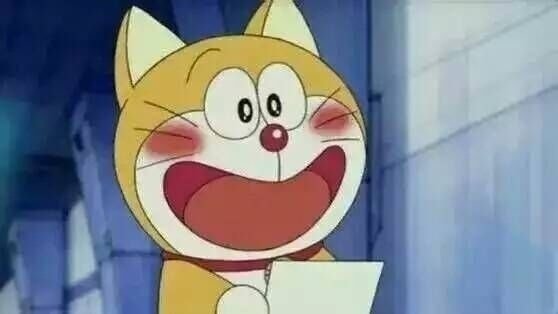 高考查分表情包图5