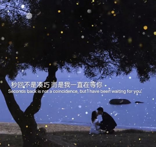 秒回不是巧合而是我一直在等你图片带字图2