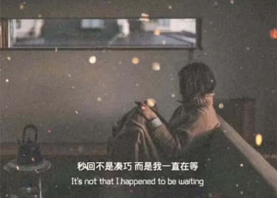 秒回不是巧合而是我一直在等你图片带字图1