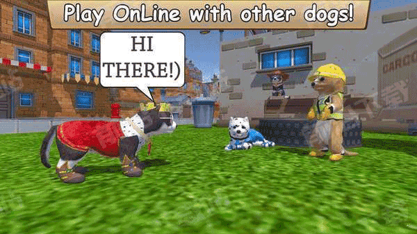 牧场Zoom与动物Zoom最新版图2