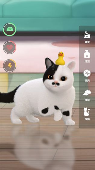 超喵星计划游戏图2