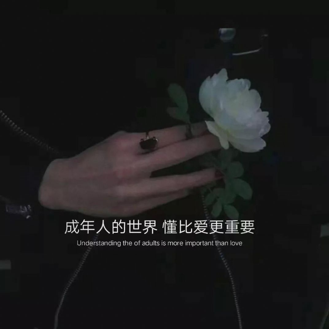 爱别人要适可而止爱自己要尽心尽力图片图2