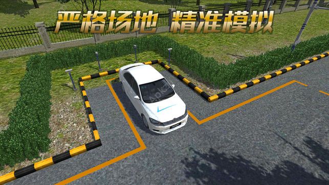 疯狂考驾照金币版  v1.1.1图3