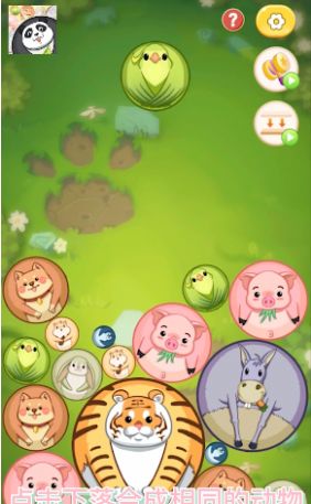 合成大熊猫最新版图2